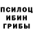 Псилоцибиновые грибы Psilocybine cubensis Nexys playz