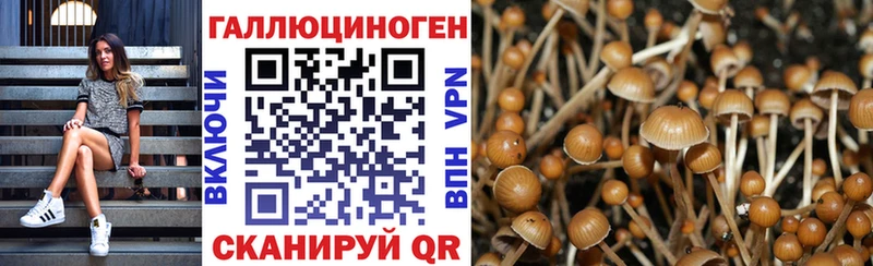Галлюциногенные грибы ЛСД  где можно купить наркотик  Волоколамск 